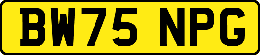 BW75NPG