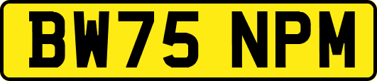 BW75NPM