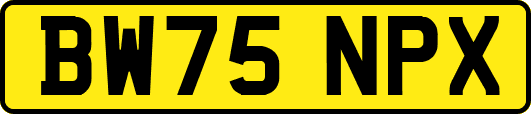 BW75NPX