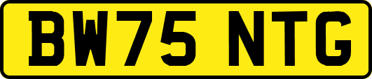 BW75NTG
