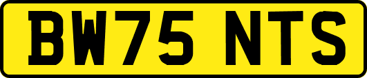 BW75NTS