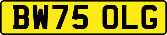 BW75OLG