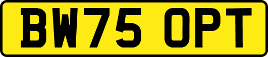 BW75OPT
