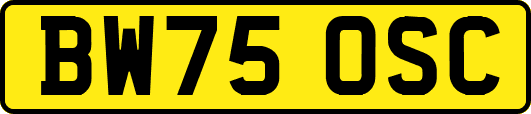 BW75OSC