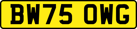 BW75OWG