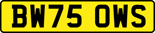 BW75OWS