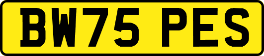 BW75PES