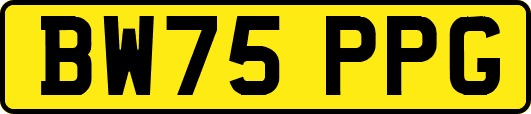 BW75PPG