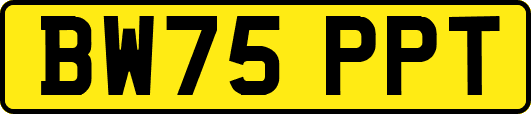 BW75PPT