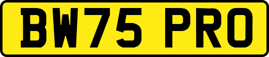 BW75PRO