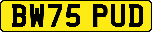 BW75PUD
