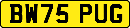 BW75PUG