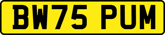 BW75PUM