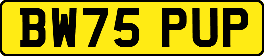 BW75PUP