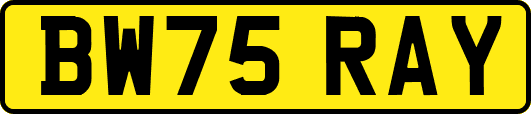 BW75RAY