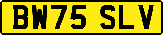 BW75SLV