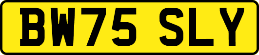 BW75SLY