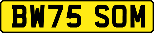 BW75SOM