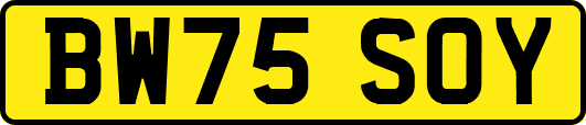 BW75SOY