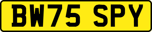 BW75SPY