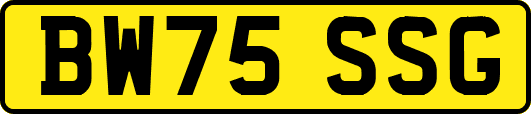 BW75SSG
