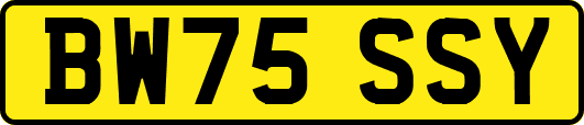BW75SSY