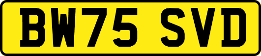 BW75SVD