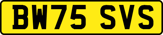 BW75SVS