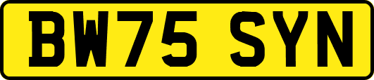 BW75SYN