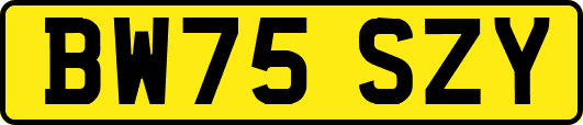 BW75SZY