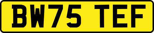BW75TEF