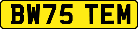 BW75TEM