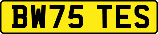 BW75TES