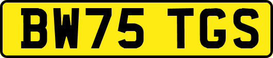 BW75TGS