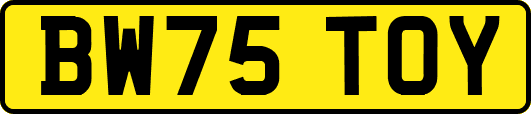 BW75TOY