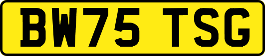 BW75TSG