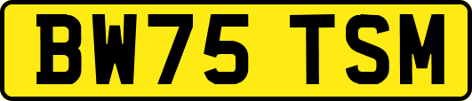 BW75TSM