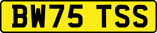 BW75TSS