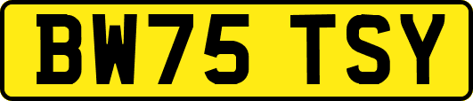 BW75TSY
