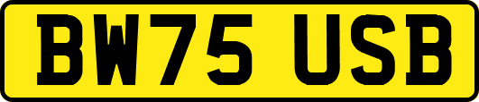 BW75USB