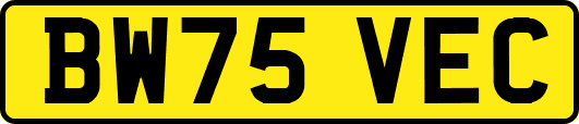 BW75VEC