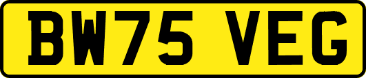 BW75VEG