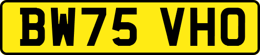 BW75VHO