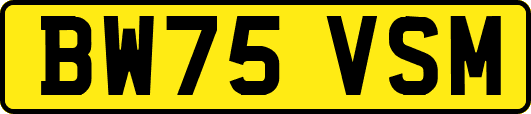 BW75VSM
