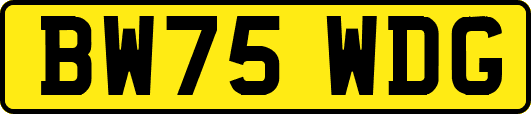 BW75WDG