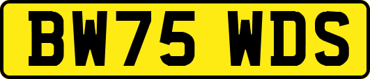 BW75WDS