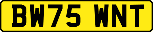 BW75WNT