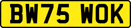 BW75WOK