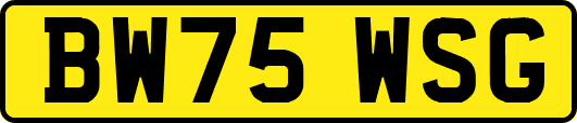 BW75WSG