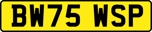 BW75WSP